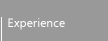 Experience